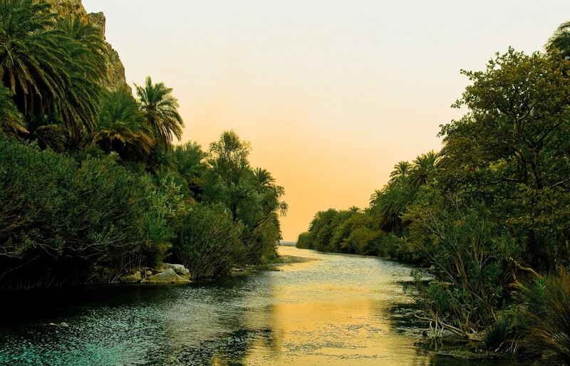 River Through Palm Grove — Green