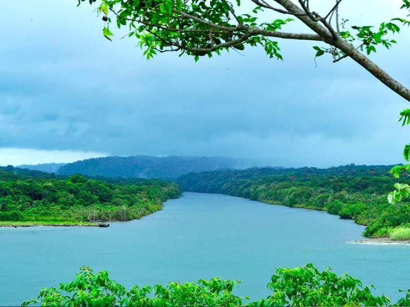 River Through Rainforest — Green, Serene, Photograph