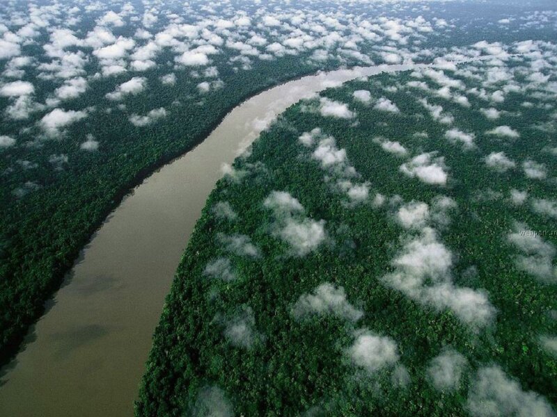 River Through Rainforest — Green, Serene