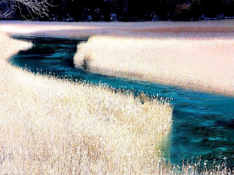 River Through Reeds — Blue, Serene, Autumn