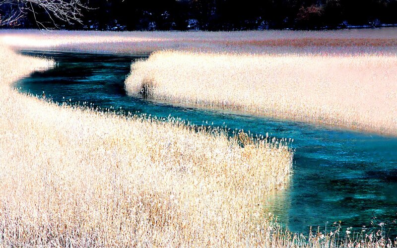 River Through Reeds — Blue, Serene