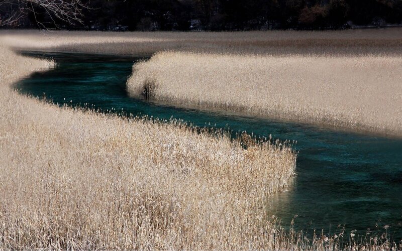 River Through Reeds — Brown, Serene