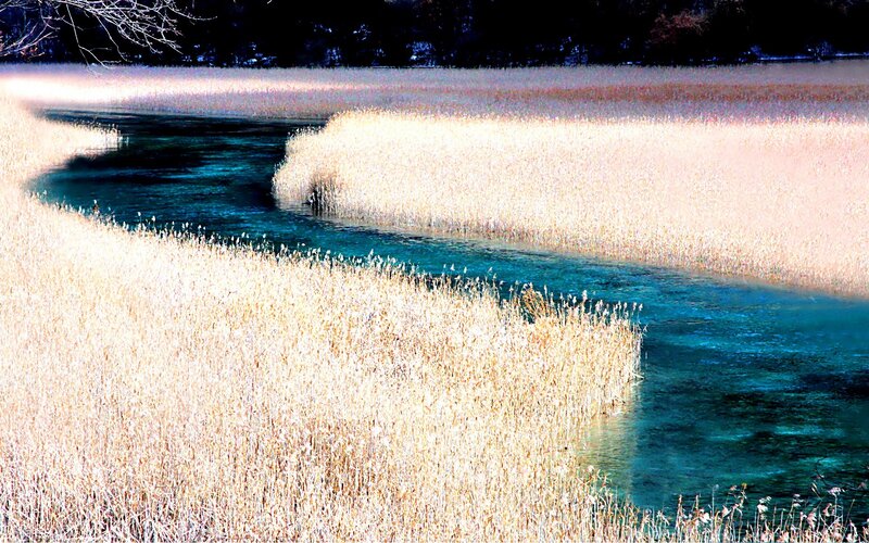 River Through Reeds