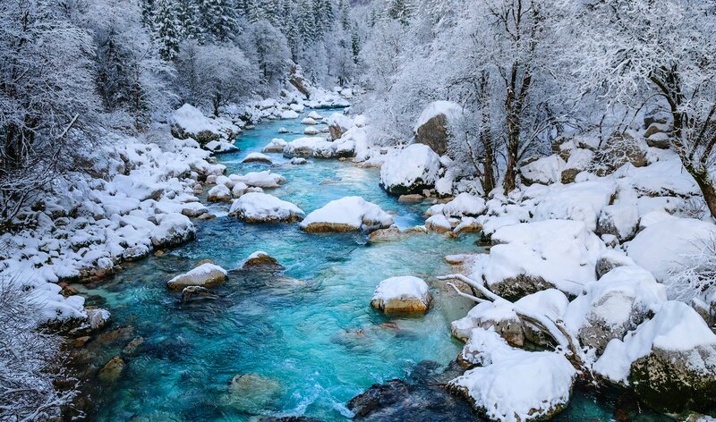 River Through Snowy Forest — Blue, Serene