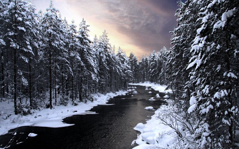 River Through Snowy Forest — White