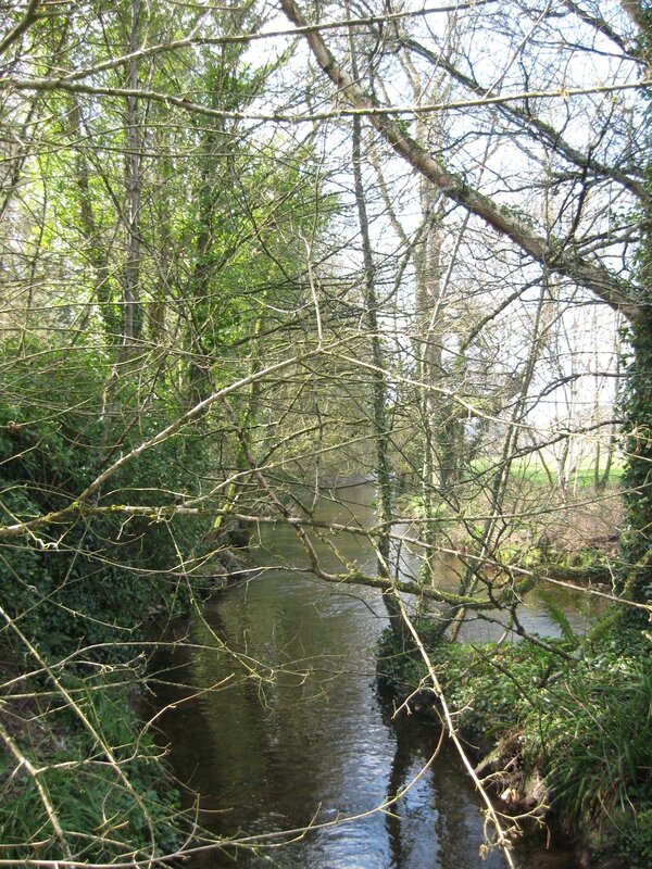 River through wooded area