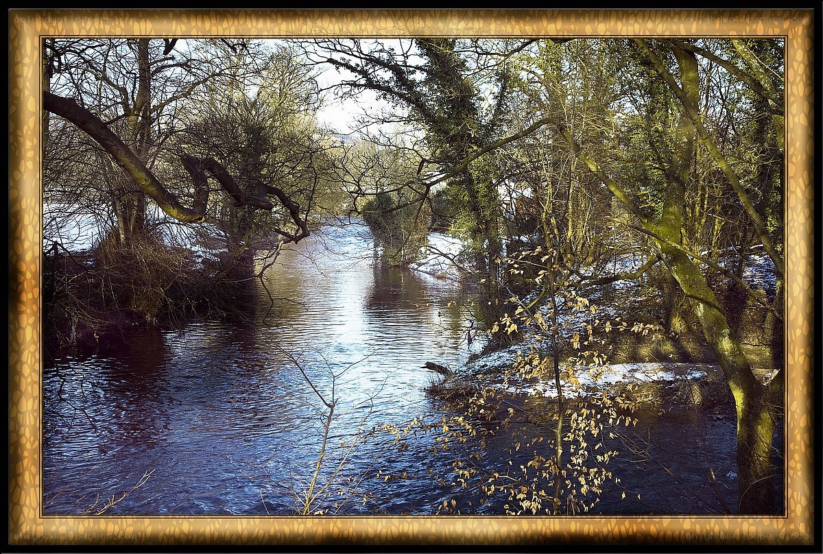 River through wooded landscape