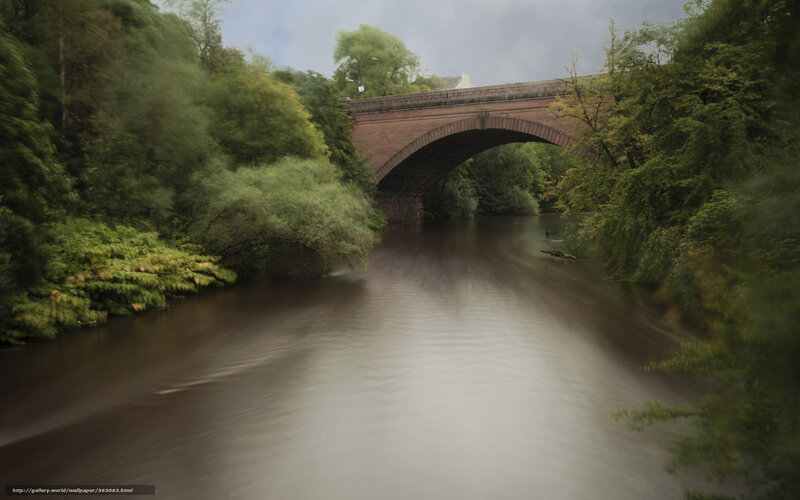 River under Stone Bridge — Green, Serene, Afternoon