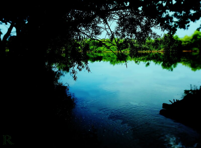 River under Tree Canopy — Blue