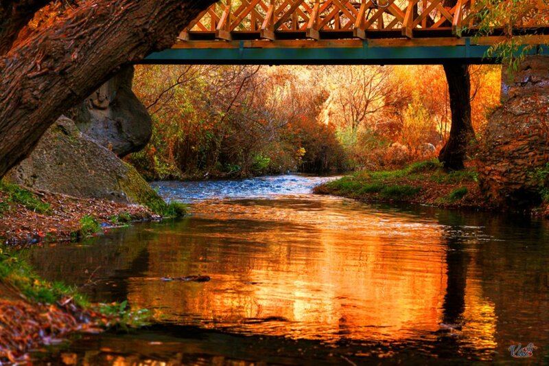 River under Wooden Bridge