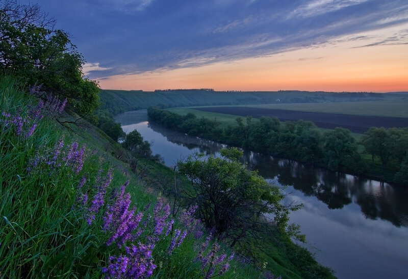 River Valley at Dusk — Purple