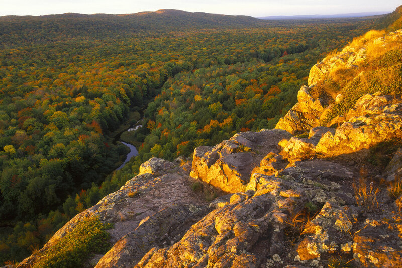 River Valley Forest — Green
