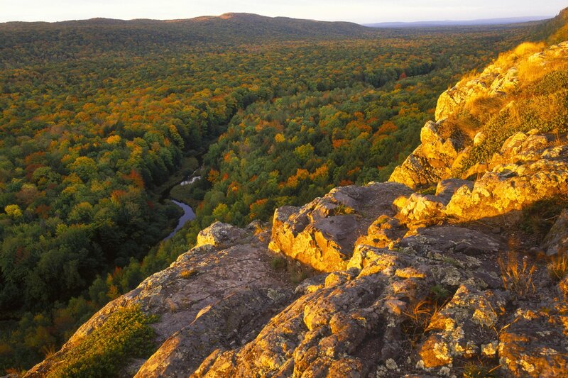 River Valley Forest