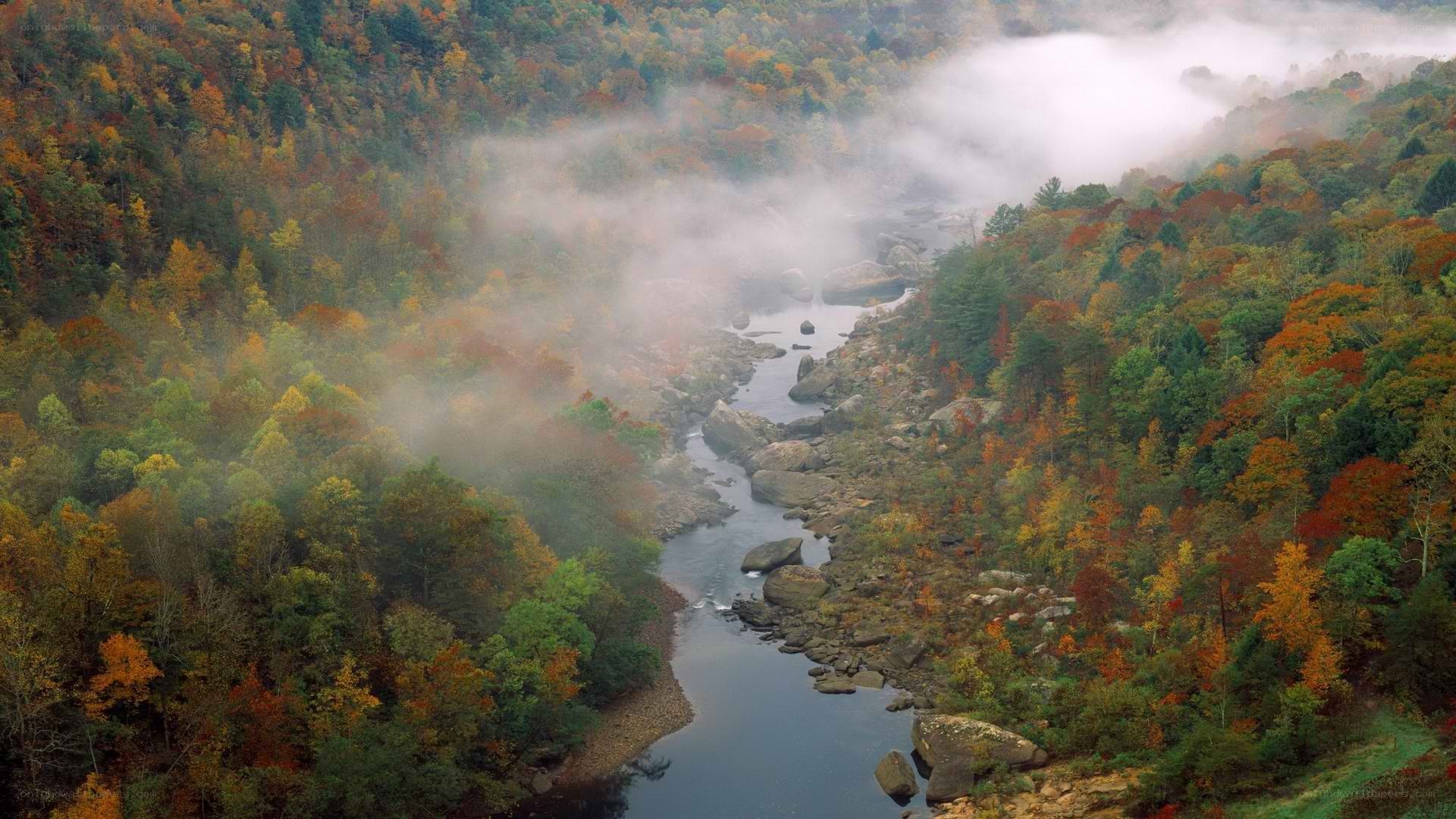 River valley in autumn mist
