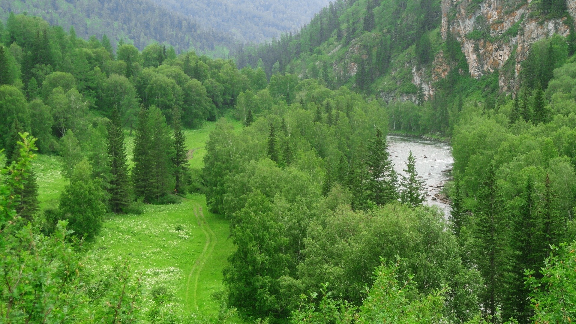 river valley in forested mountains
