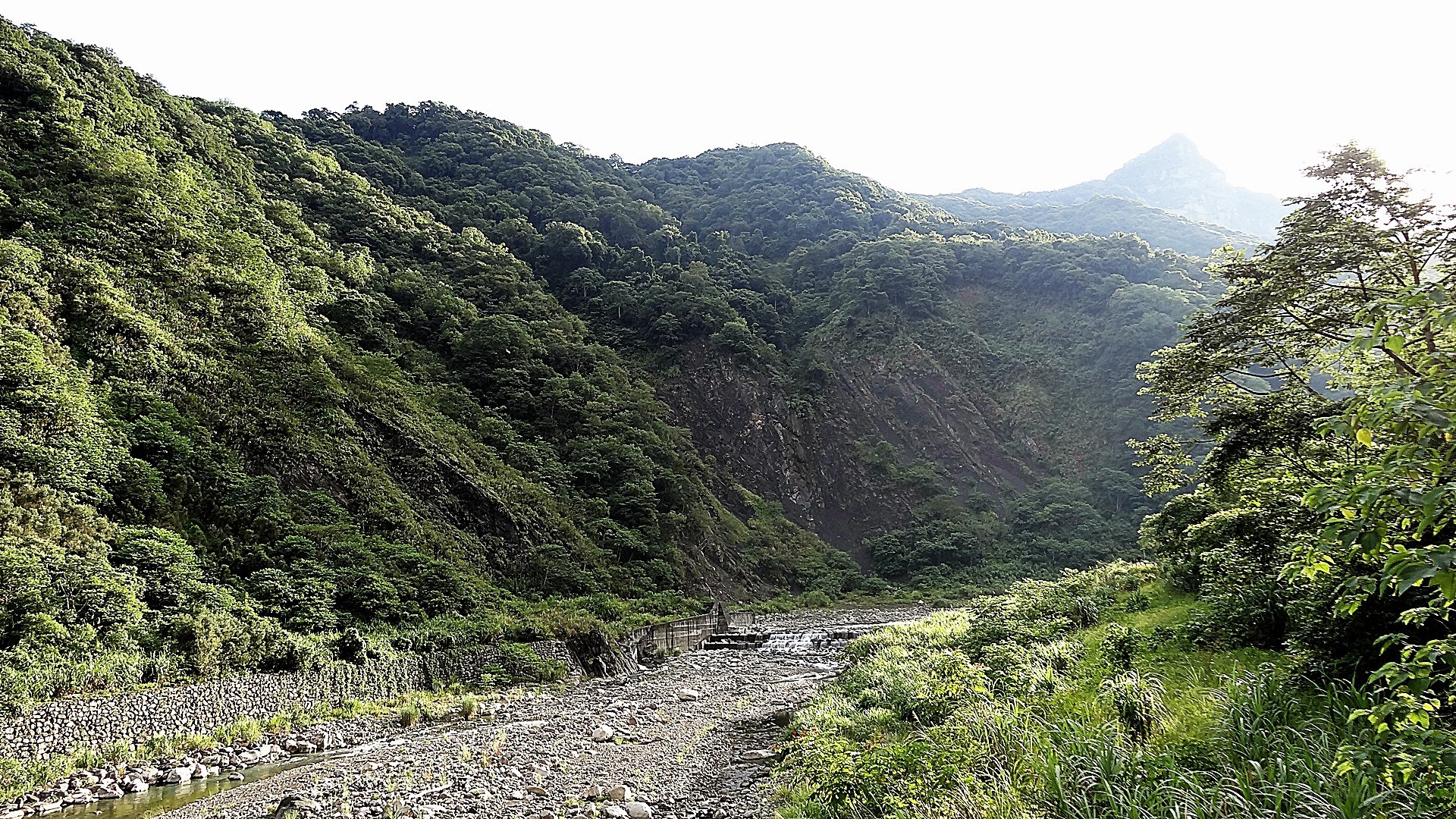 river valley in forested mountains