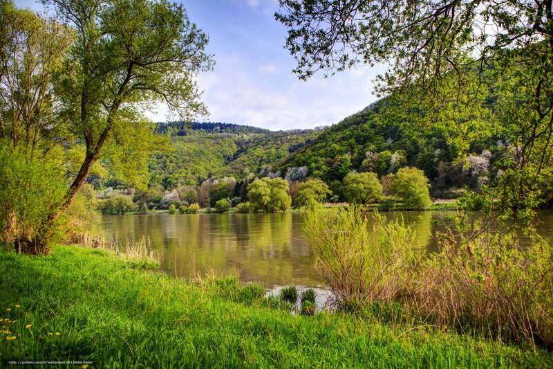 River valley in spring