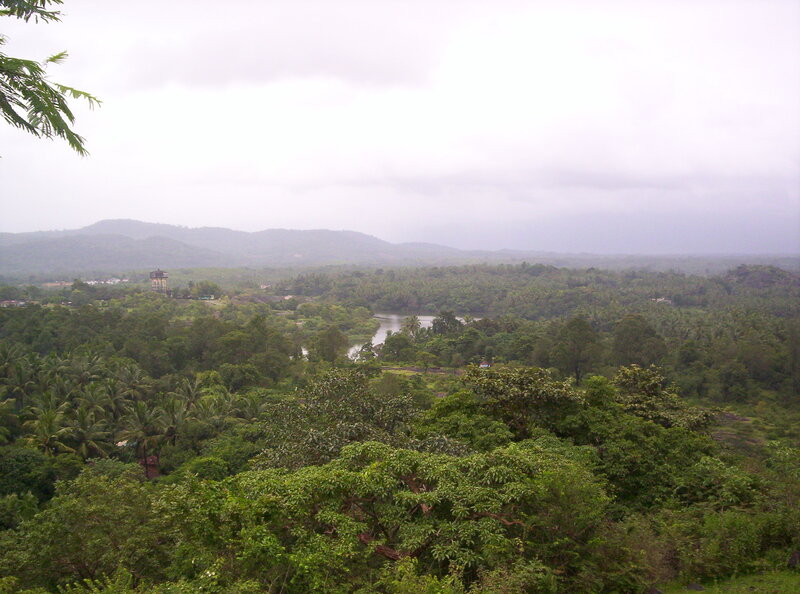 River Valley Landscape — Green, Overcast
