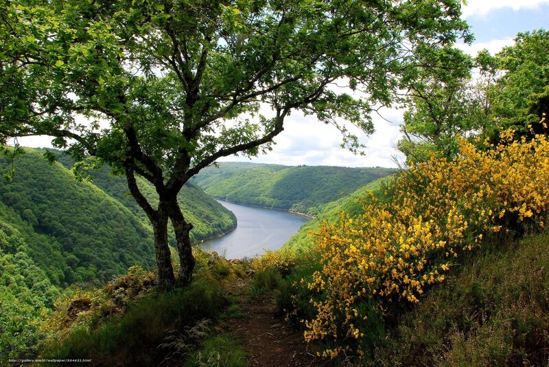 River Valley Landscape — Green, Serene, Afternoon, Photograph, Tree, Flowers