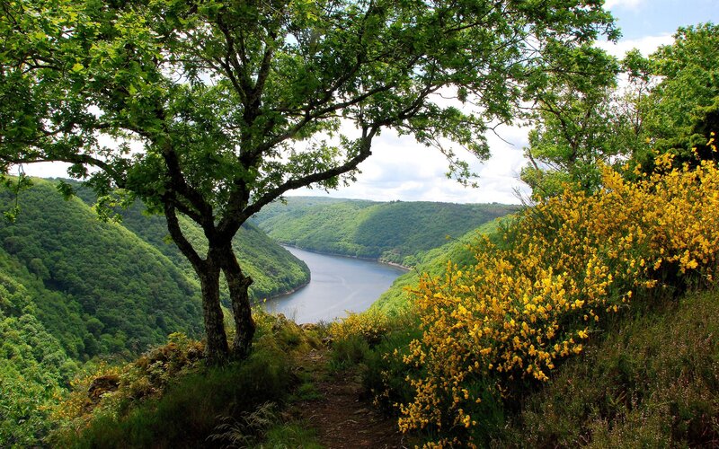 River Valley Landscape — Green, Serene, Afternoon, Photograph, Tree