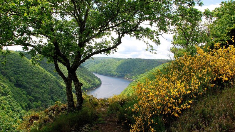 River Valley Landscape — Green, Serene, Spring, Photograph