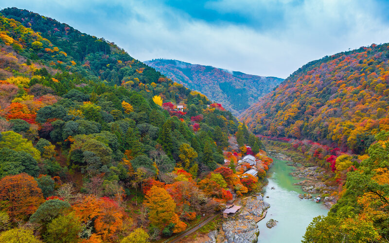 River Valley with Autumn Trees — Green, Serene