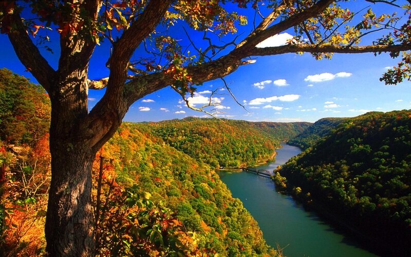 River Valley with Autumn Trees — Green