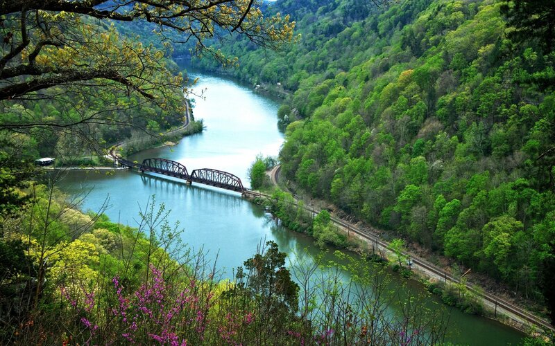 River Valley with Bridge — Green, Serene, Spring, Photograph
