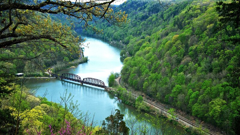 River Valley with Bridge — Green, Serene, Spring