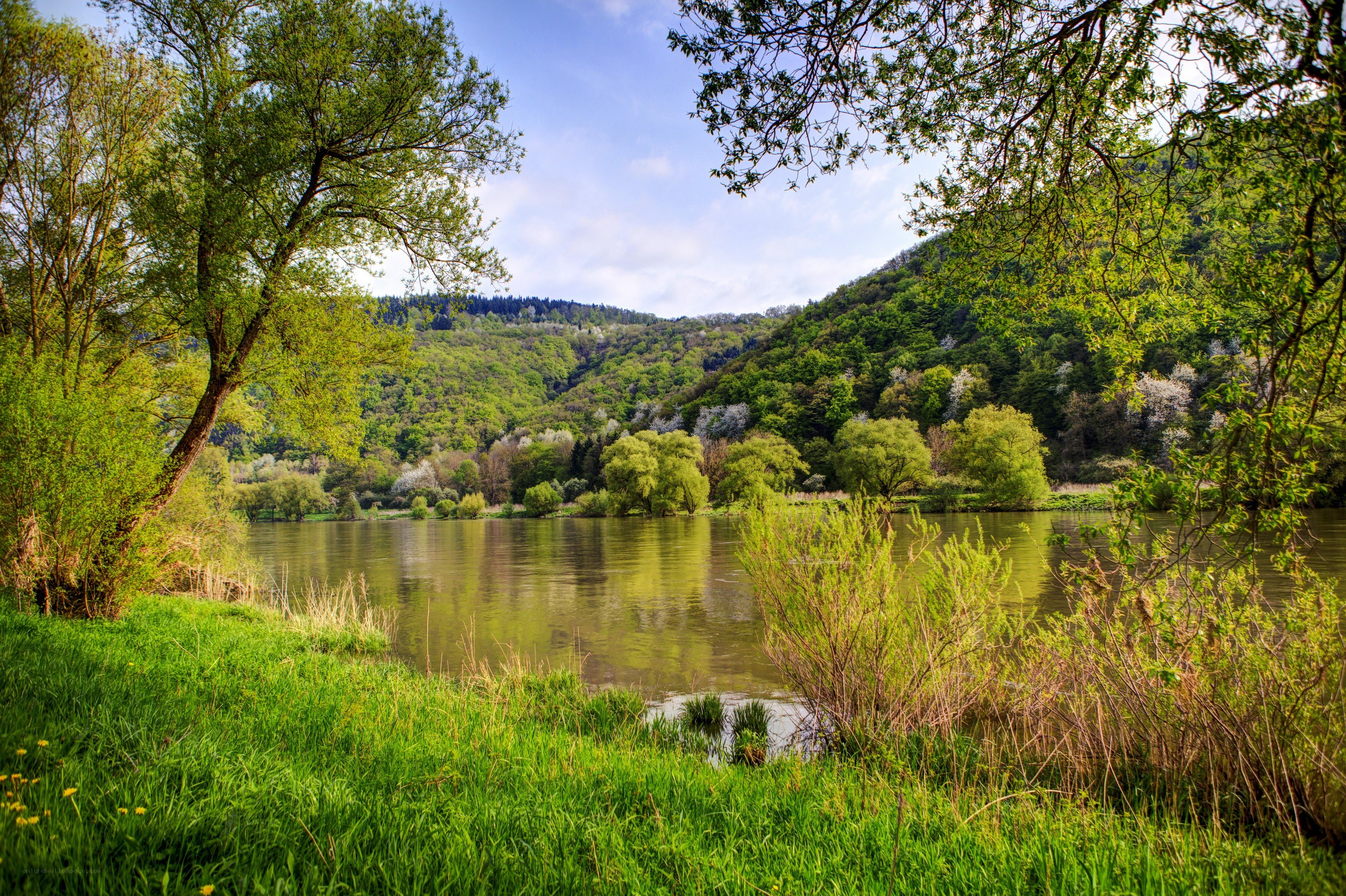 River valley with lush green trees