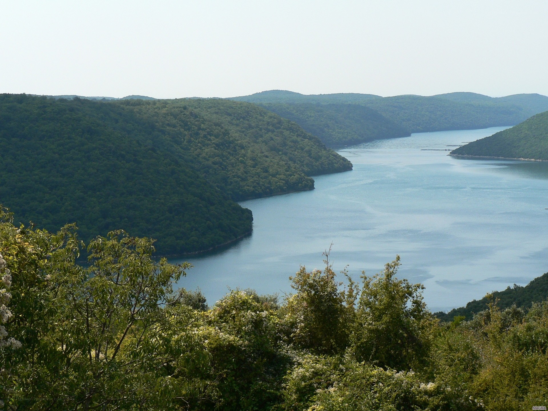 river valley with lush hills
