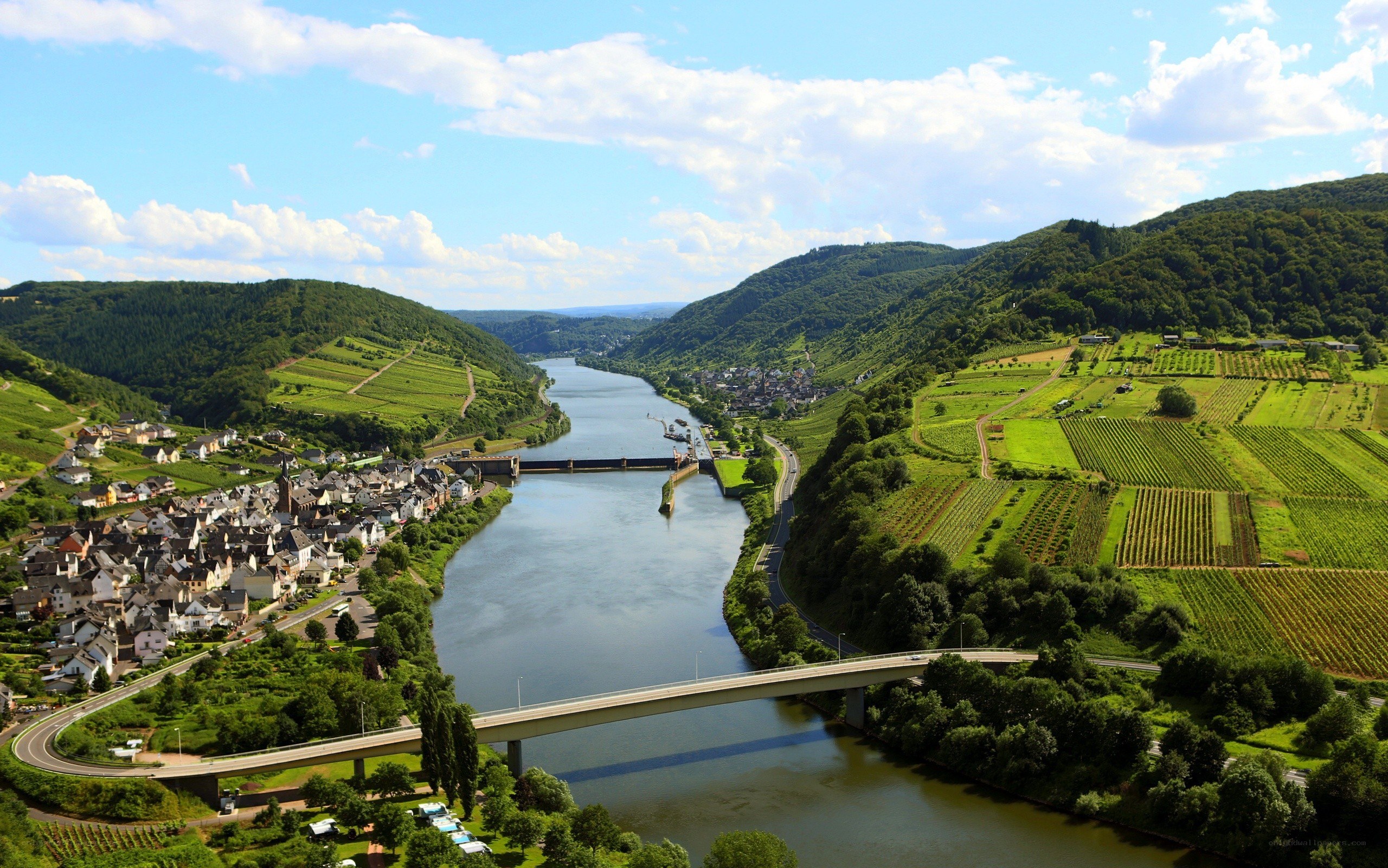 River valley with vineyards and bridge