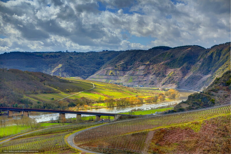 River valley with vineyards and bridge