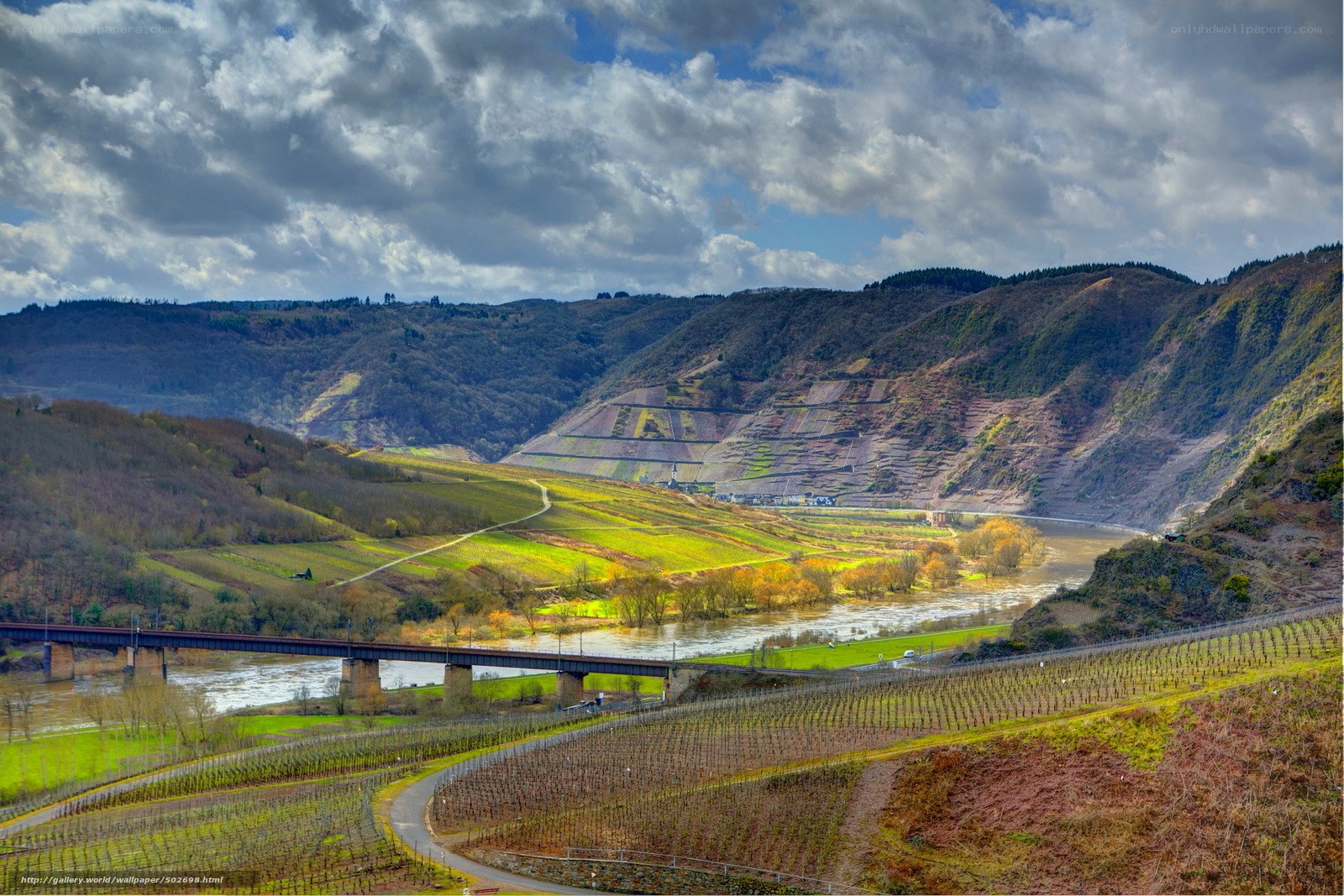 River valley with vineyards and bridge