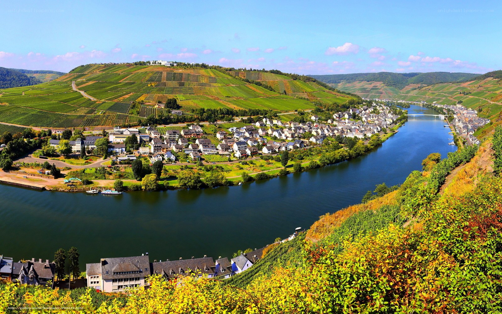 River valley with vineyards and town