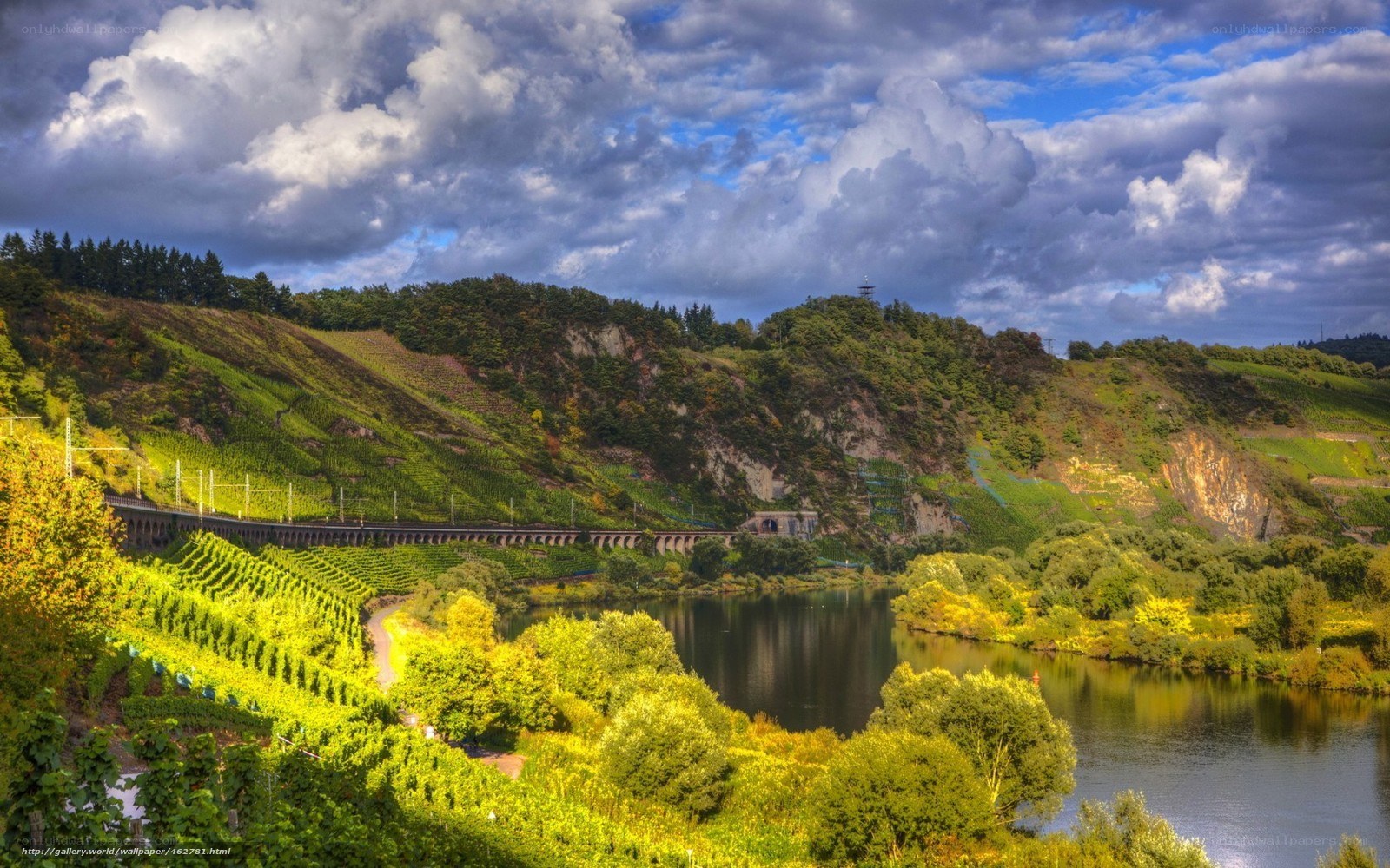 River valley with vineyards and train