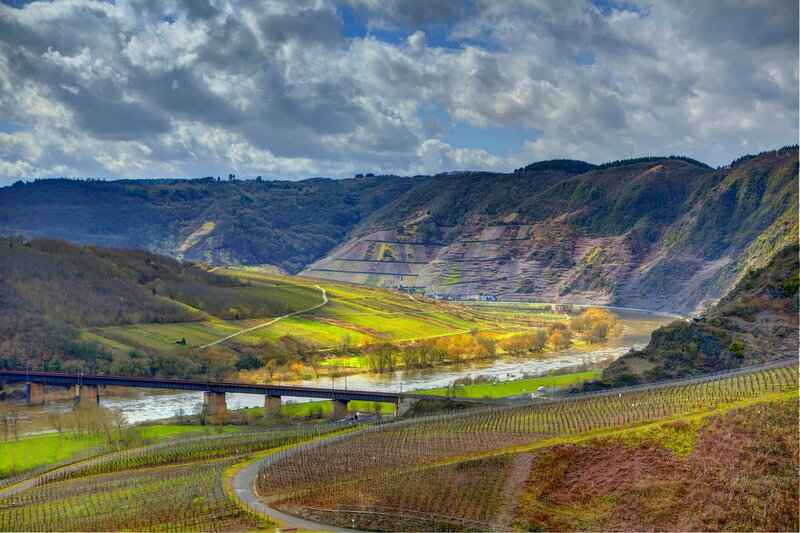 River Valley with Vineyards — Green, Dramatic, Autumn