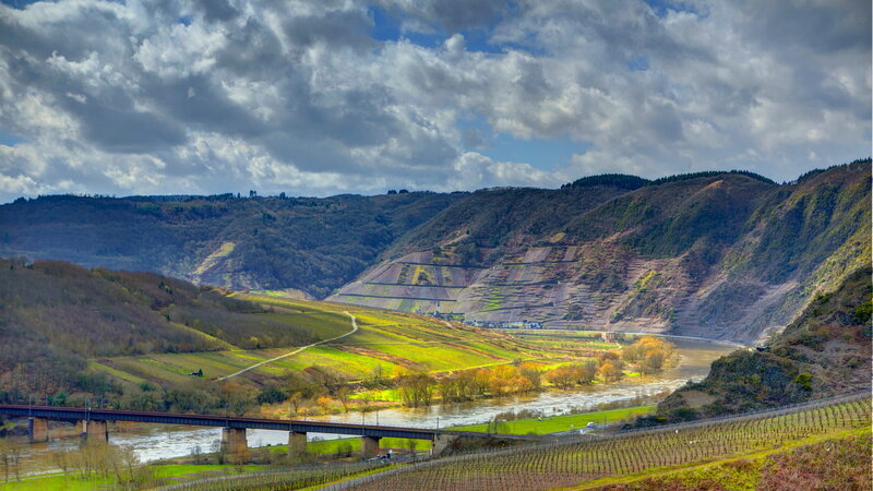 River Valley with Vineyards — Green, Dramatic
