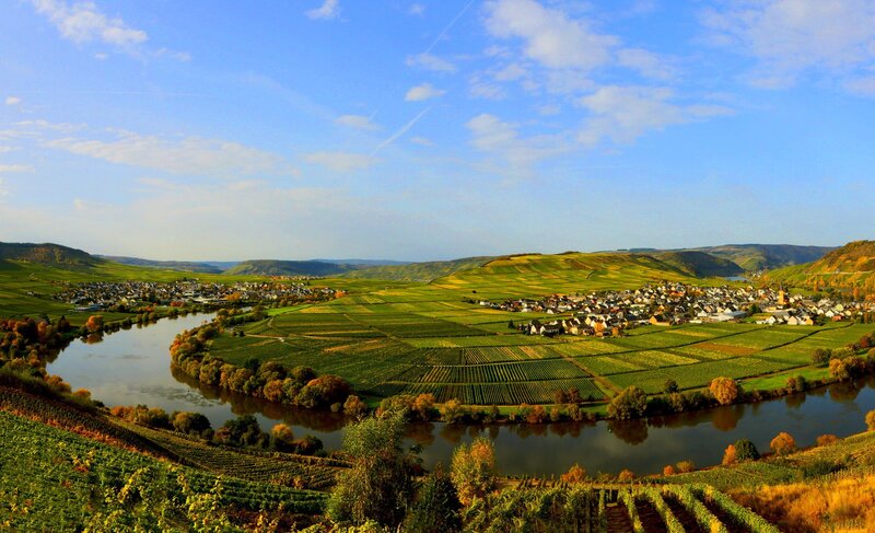 River Valley with Vineyards — Green, Serene