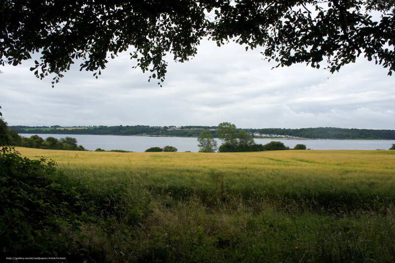 River view from a field