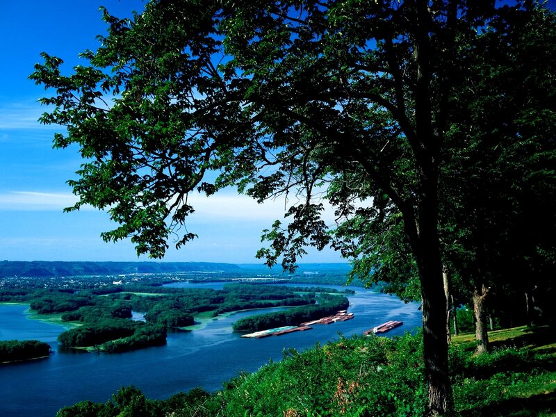 River view from a tree-covered hill