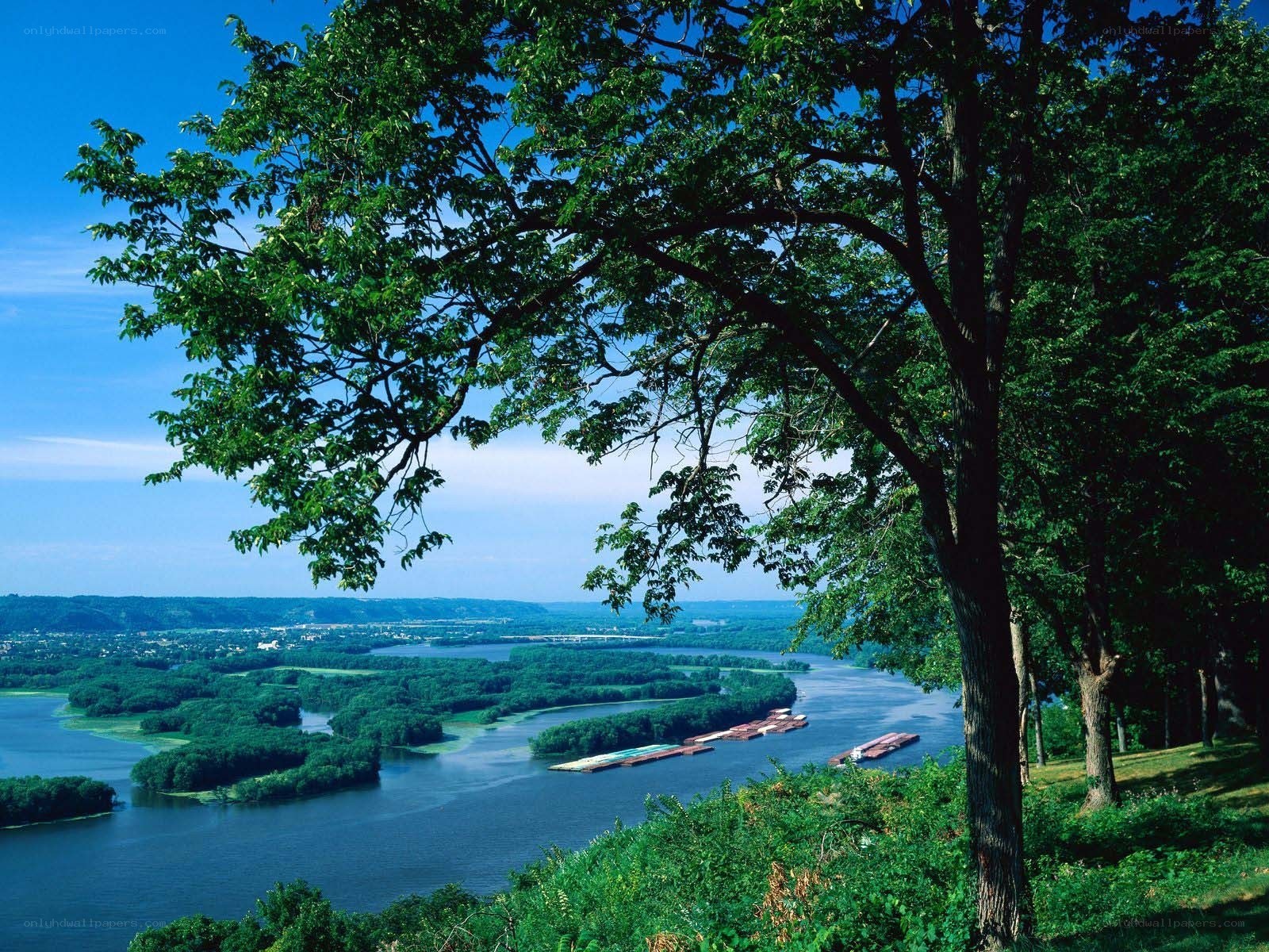 River view from a tree-lined hill