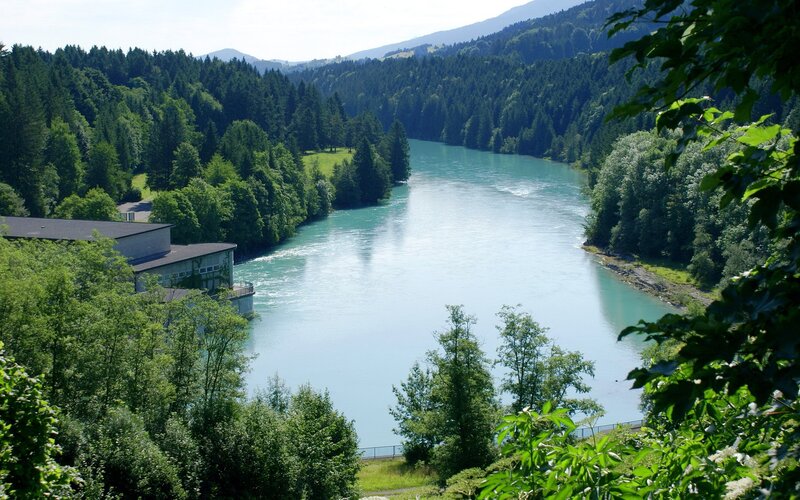 River view from forested hill