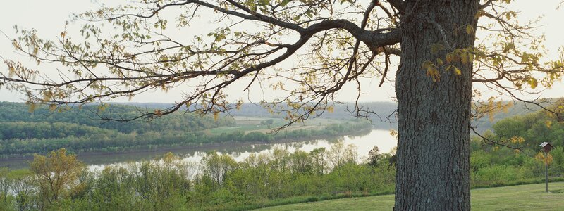 River View from Hill