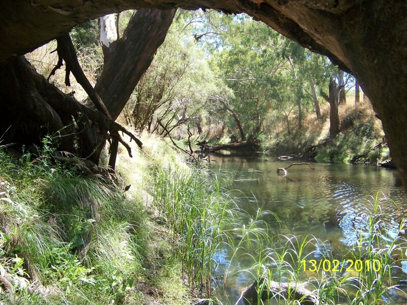 River view from under a tree