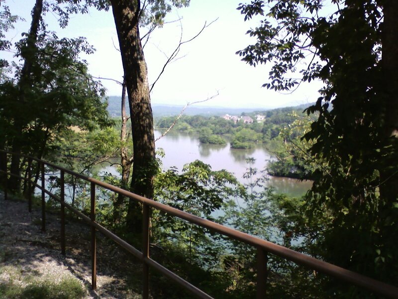 River view from wooded trail