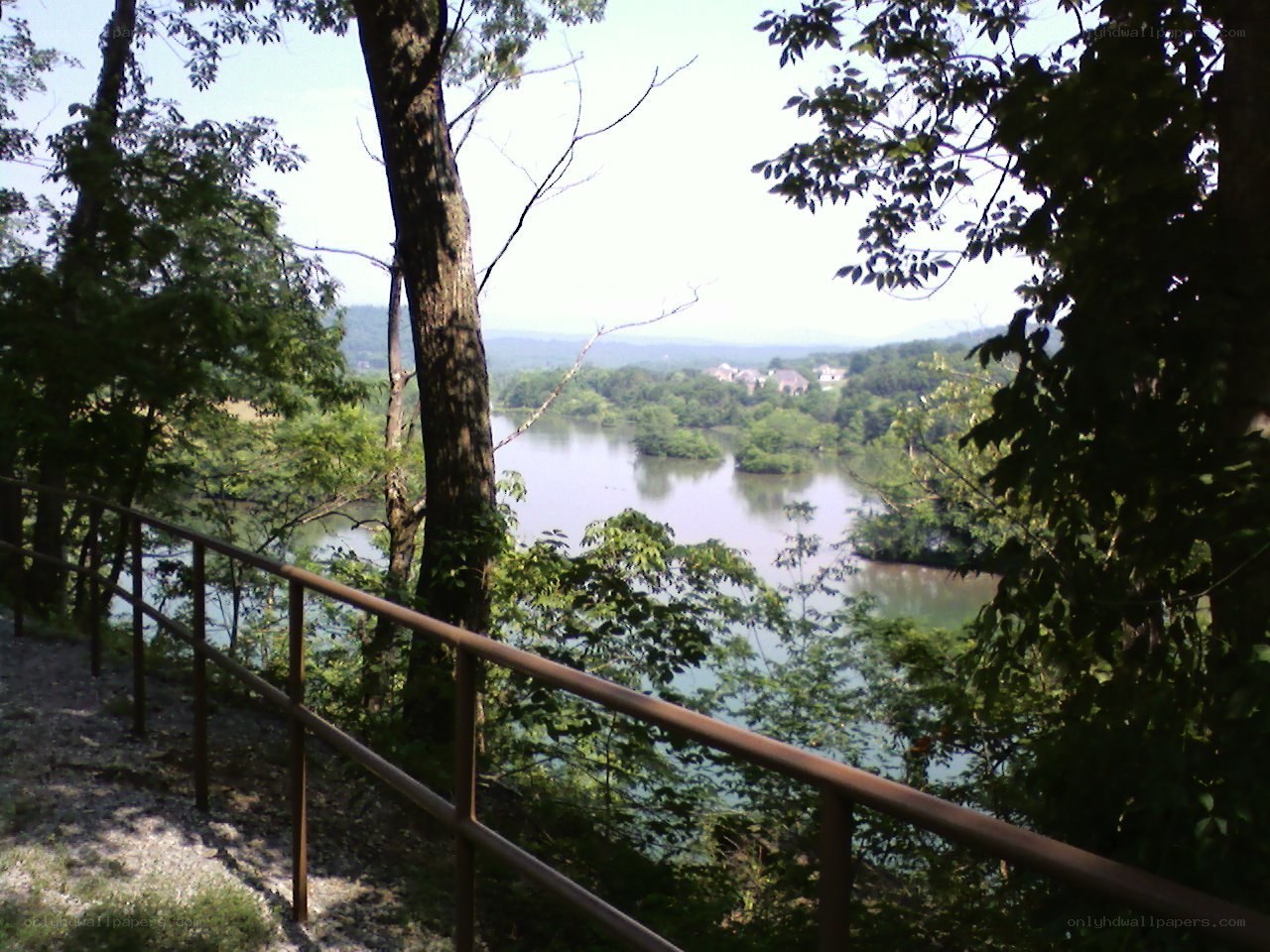River view from wooded trail