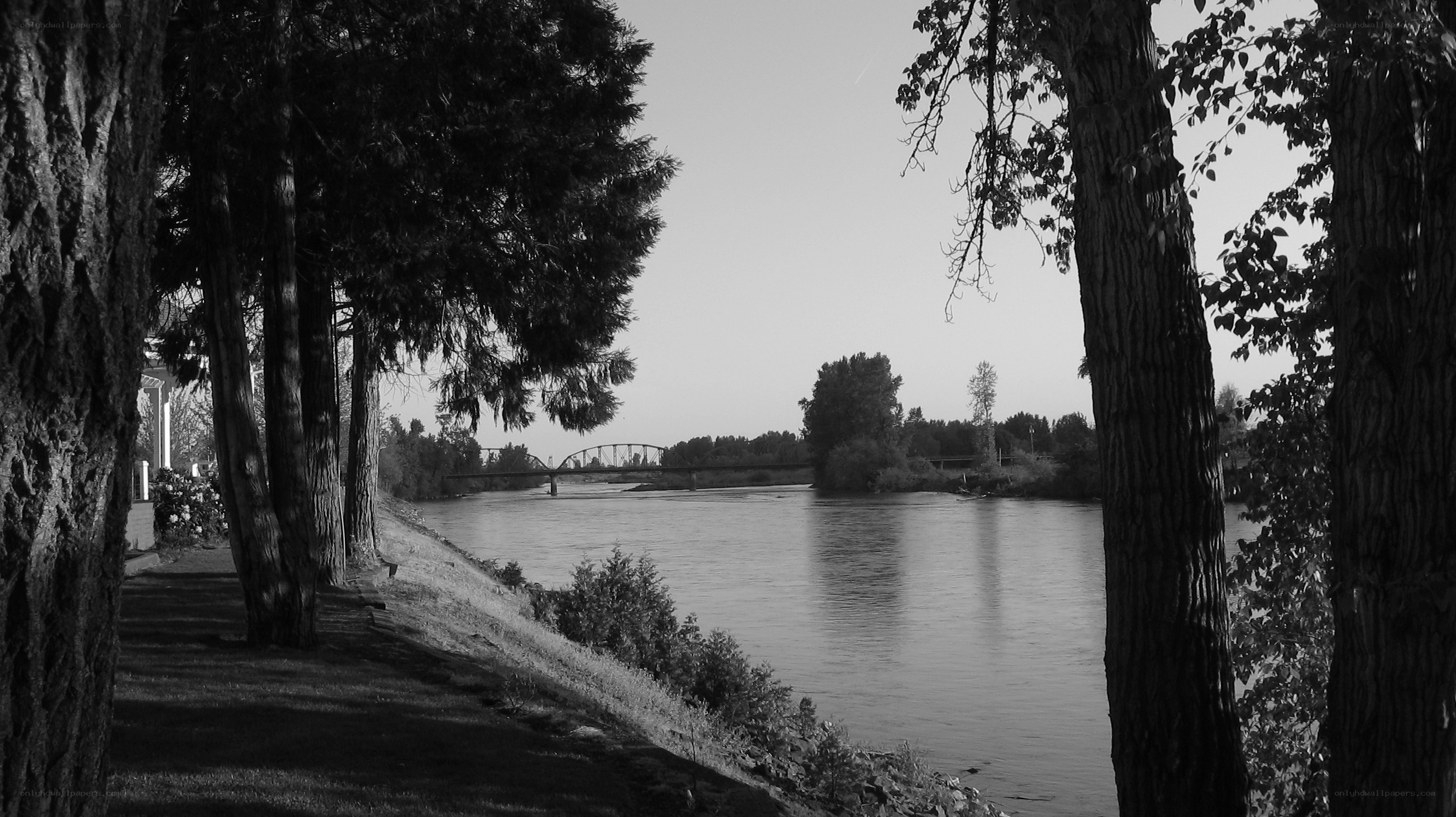 River view with bridge in distance