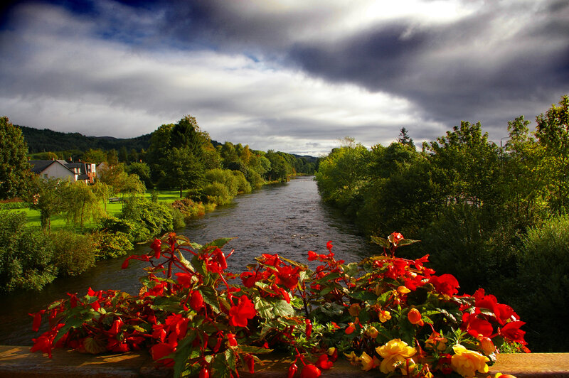 River view with flowers