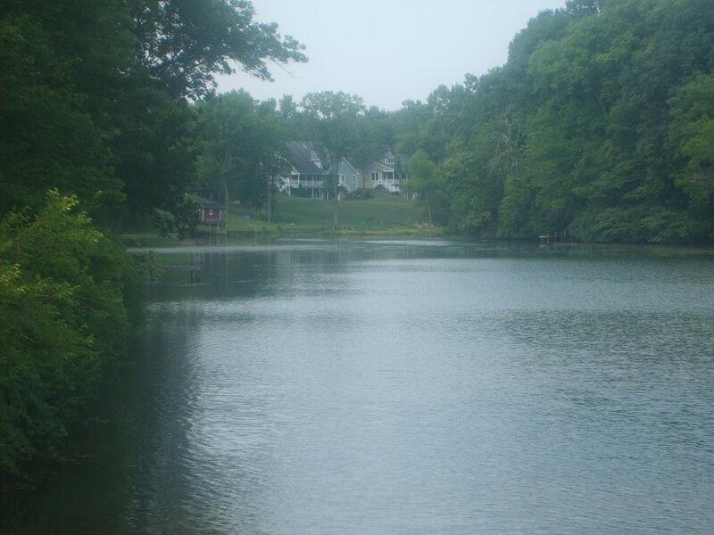 River view with houses and trees